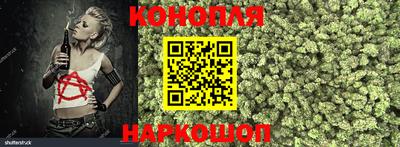 крисы Шахты