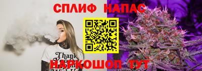 крисы Шахты