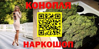 крисы Шахты