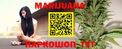 крисы Шахты