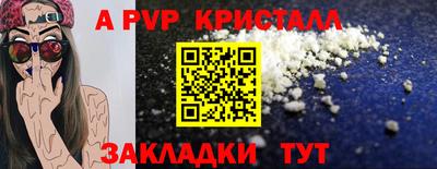 крисы Шахты