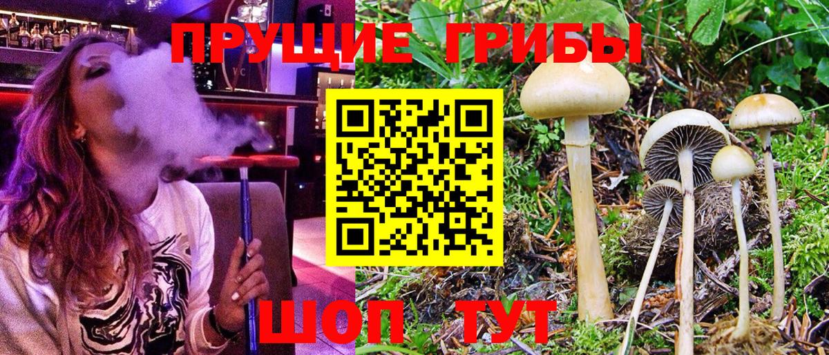 Аргун  Галлюциногенные грибы MAGIC MUSHROOMS  Галлюциногенные грибы ЛСД  Вход с VPN 