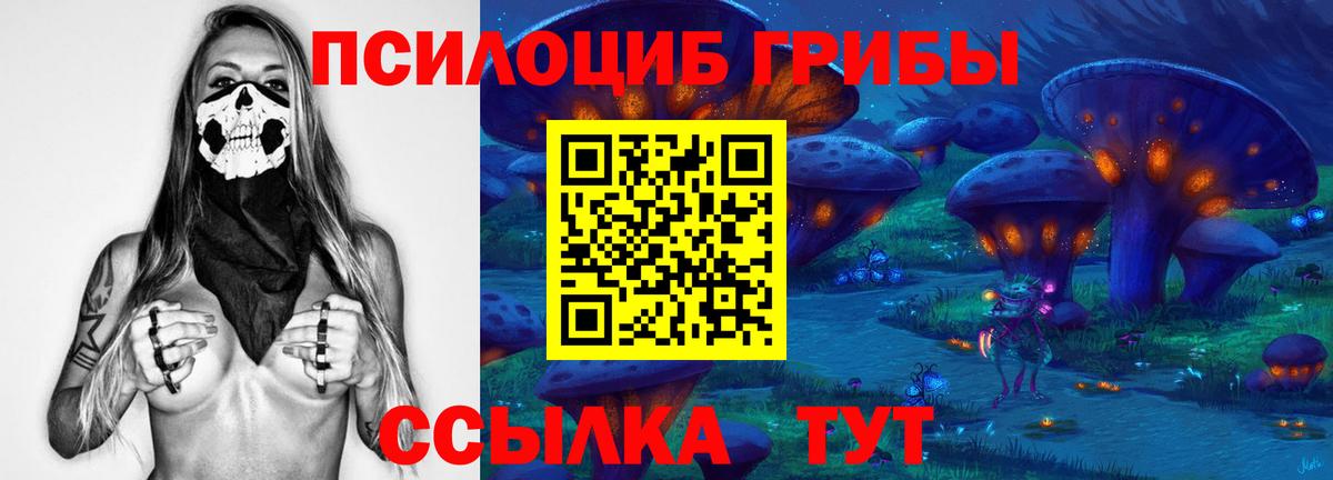 Гашиш Аргун