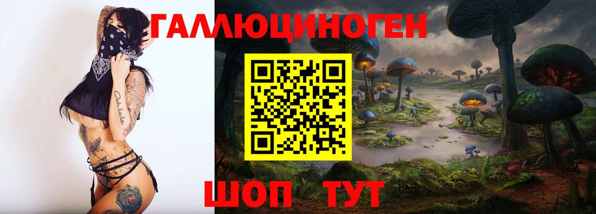 Галлюциногенные грибы Psilocybe Аргун